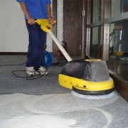专业地毯清洗